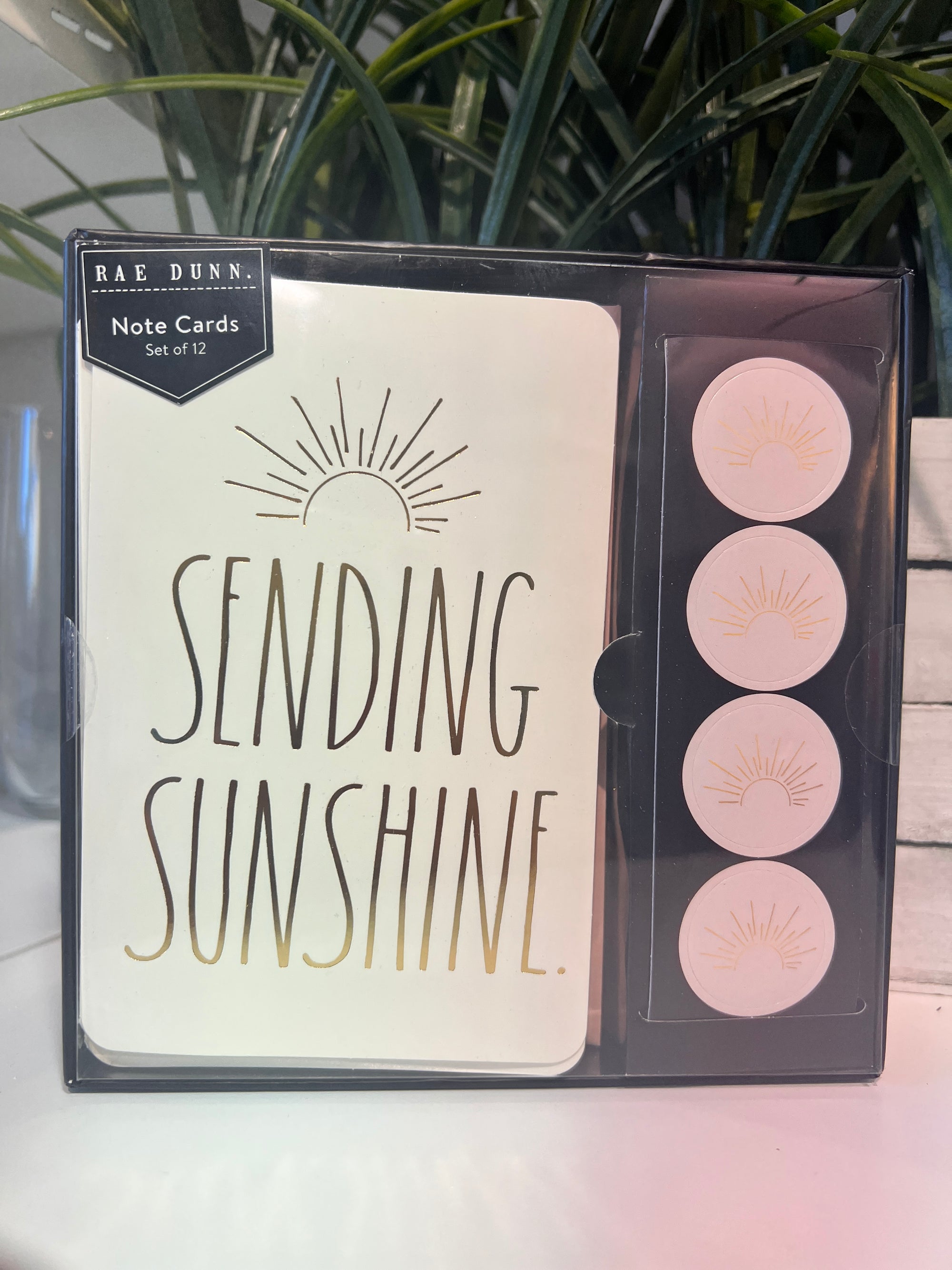 Sending Sunshine Notecards