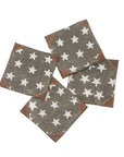 Freedom of Stars- set of 4 canvas coasters